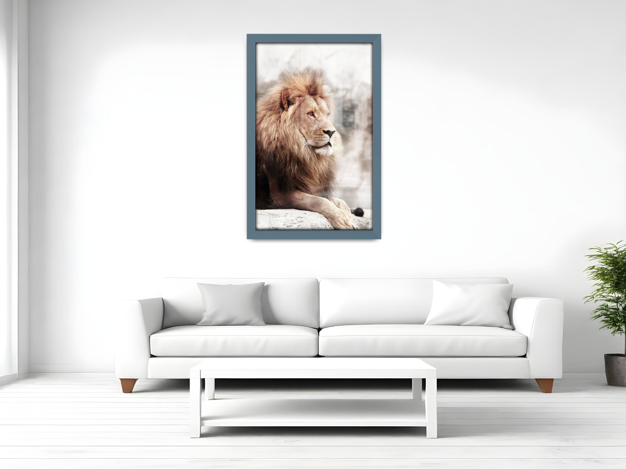 19 x 25 Inch / ( 48.26 x 63.5 CM ) Frames - MDF