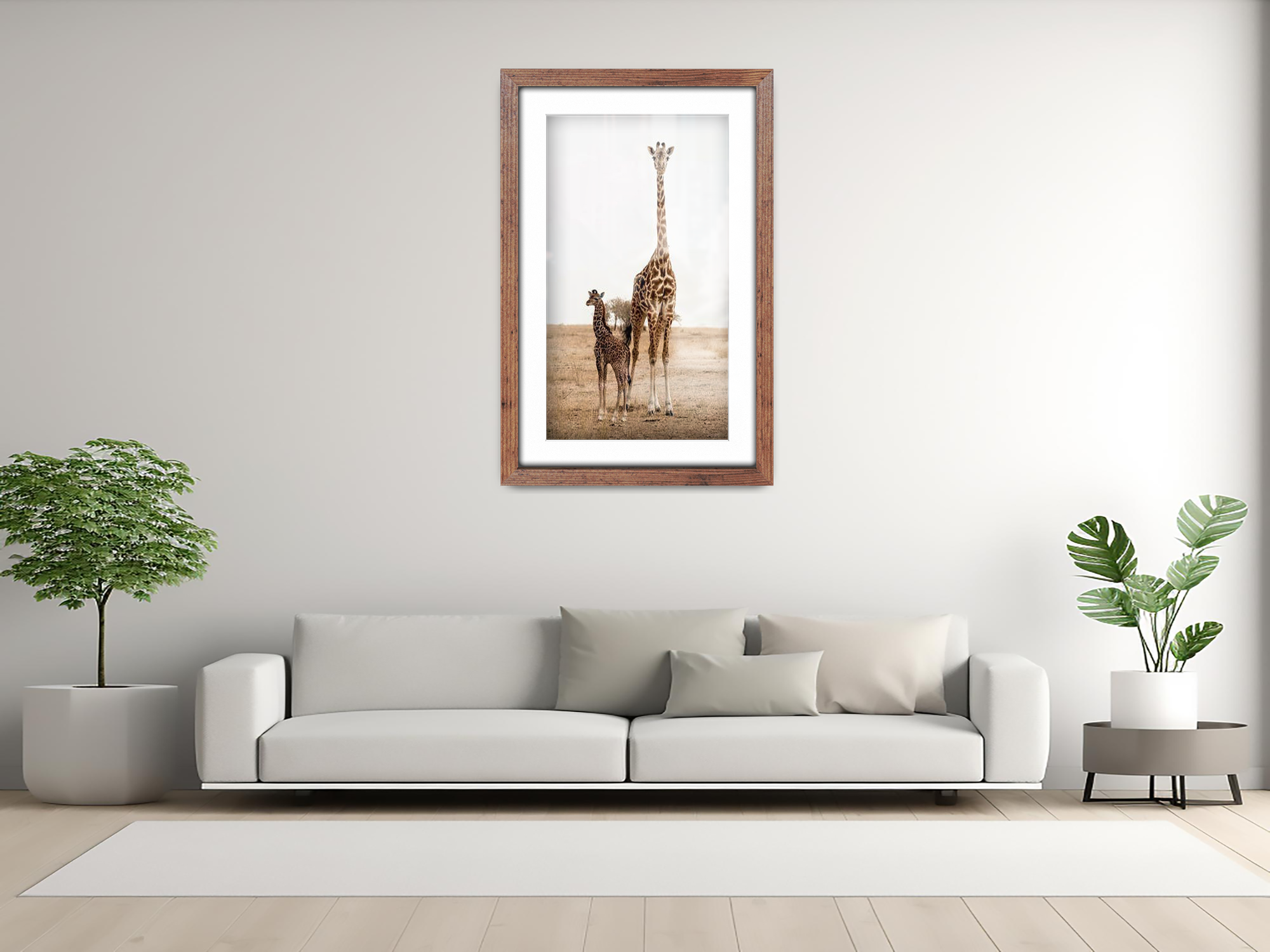 20 x 16 Inch / (50.8 x 40.64 cm ) with 43.18 x 30.48 cm White Mount Display Frame - MDF