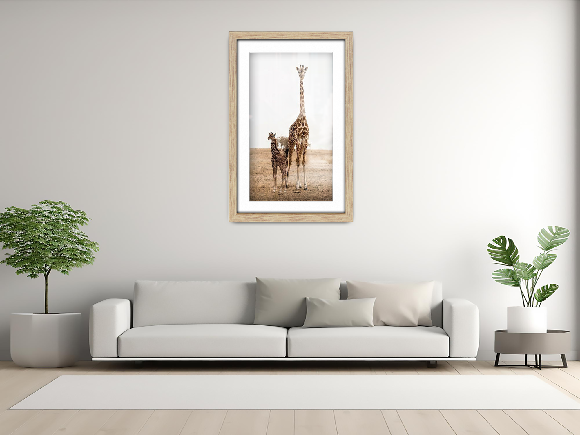 ( 40 x 50 cm ) / 16 x 20 Inch with 40 x 30 cm White Mount Display Frame - MDF