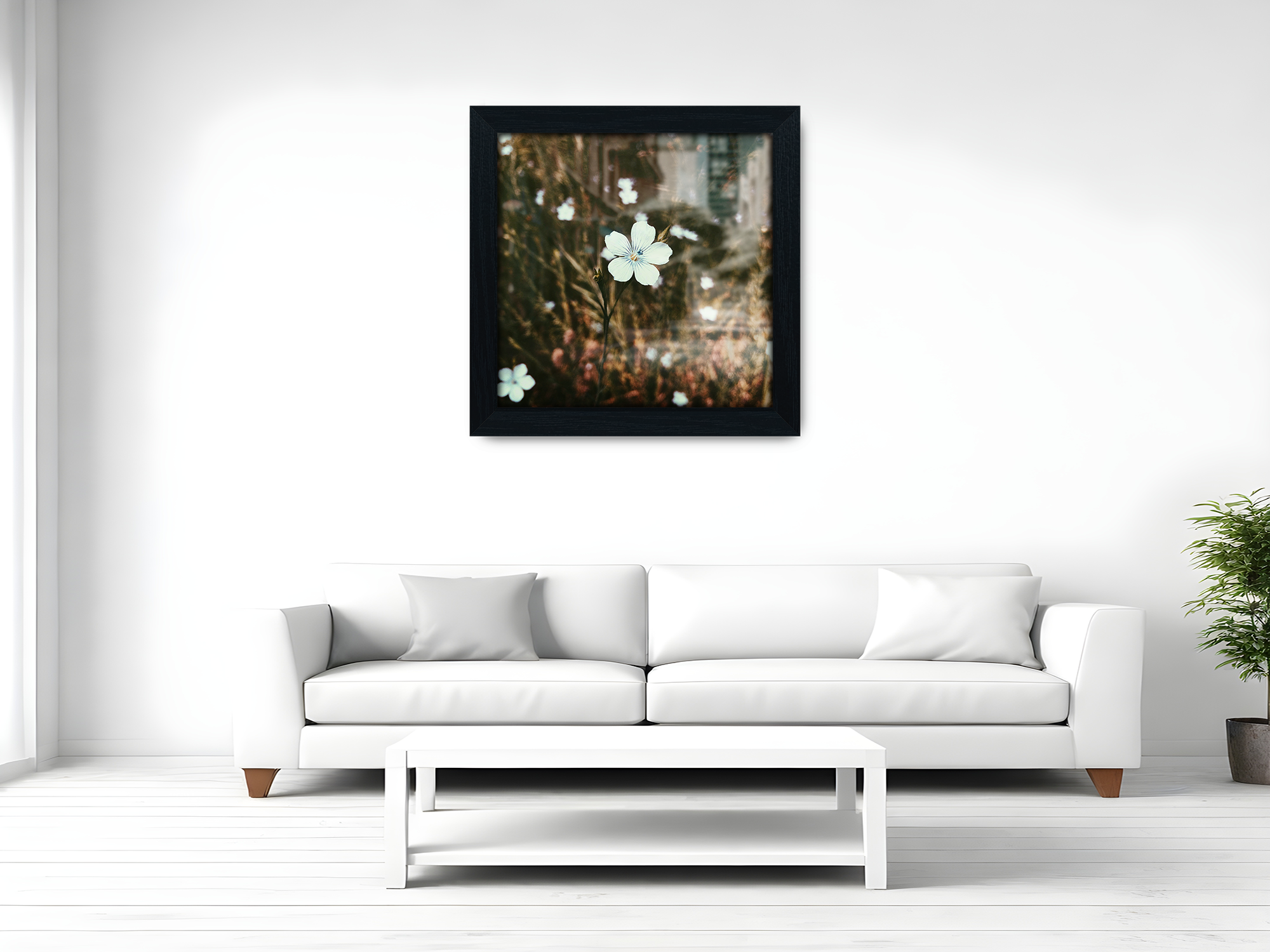( 50 x 50 CM ) / 20 x 20 Inch Display Frame - MDF