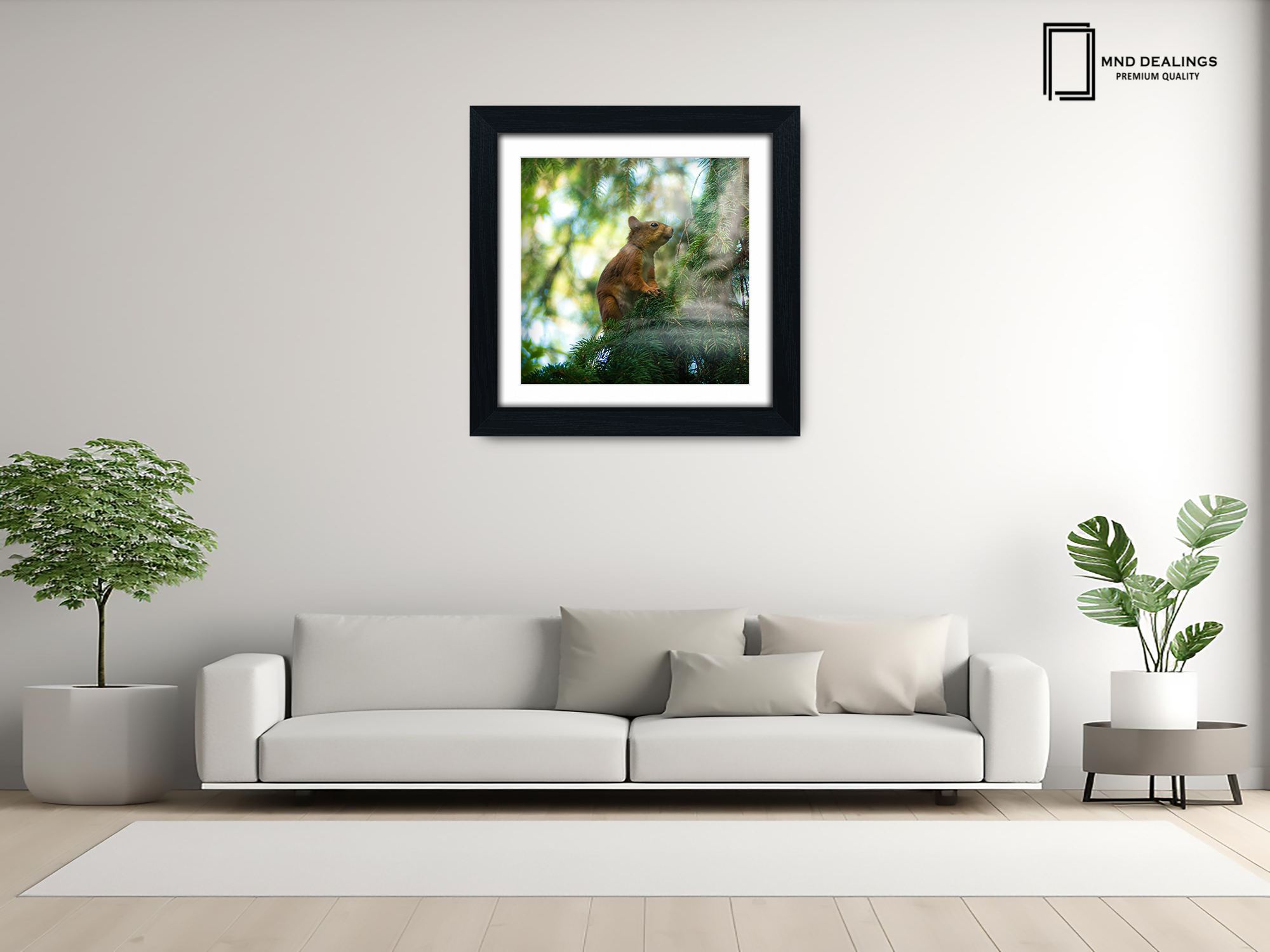 ( 60 x 60 Cm ) / 24 x 24 Inch with 50 x 50 Cm White Mount Display Frame - MDF