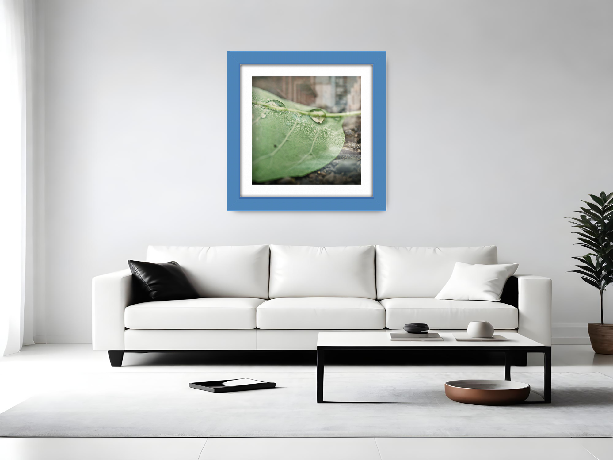 ( 60 x 60 Cm ) / 24 x 24 Inch with 50 x 50 Cm White Mount Display Frame - MDF