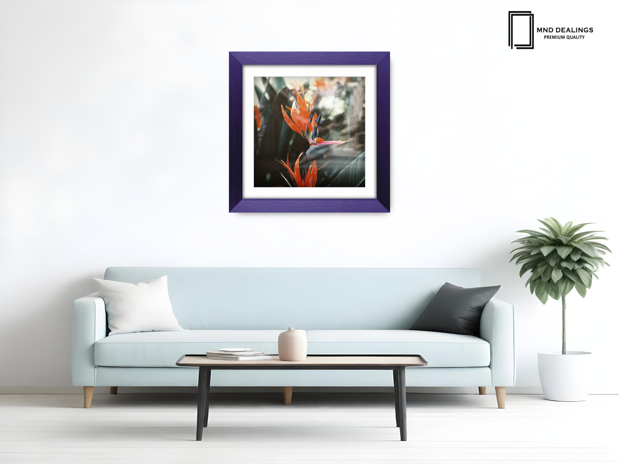 ( 60 x 60 Cm ) / 24 x 24 Inch with 50 x 50 Cm White Mount Display Frame - MDF