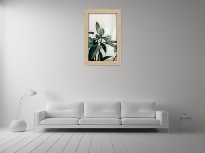 10 x 8 Inch / ( 25.40 x 20.32 CM )  |  Frames - MDF
 -  [ Oak ]