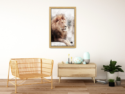 18 x 13 Inch / ( 45.72 x 33.02 CM )  |  Frames - MDF
 -  [ Pine ]