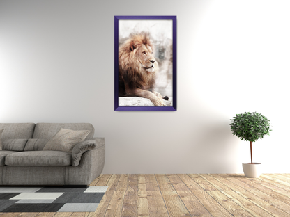 20 x 10 Inch / ( 50.80 x 25.40 CM )  |  Art Frames - MDF
 -  [ Purple ]