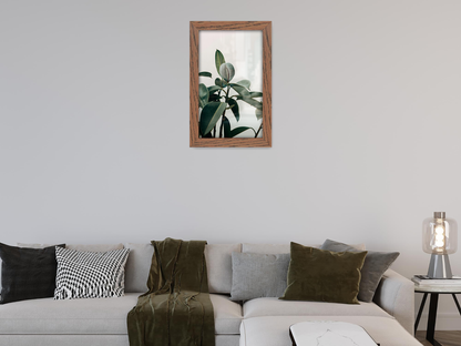 ( 25 x 35 CM ) / 14 x 10 Inch Certificate Frames - MDF