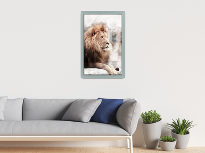 26 x 18 Inch / ( 66.04 x 45.72 CM ) Display Frame - MDF