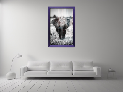 30 x 20 Inch / ( 76.20 x 50.80 CM )  |  Display Frame - MDF
 -  [ Purple ]