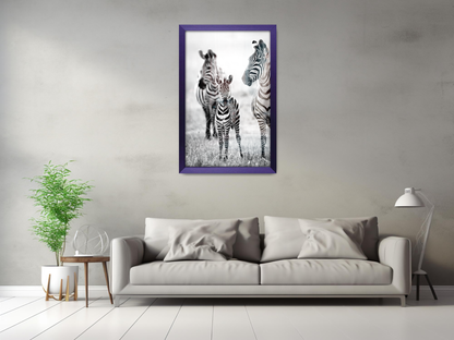 ( 30 x 40 CM ) / 16 x 12 Inch  |  Display Frame - MDF
 -  [ Purple ]