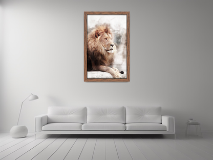 ( 30 x 45 CM ) / 18 x 12 Inch  |  Display Frame - MDF
 -  [ Dark Oak ]