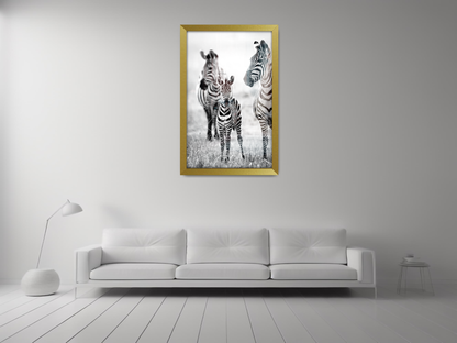 36 x 24 Inch / ( 91.44 x 60.96 CM ) Picture Frames - MDF