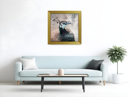 ( 40 x 40 CM ) / 16 x 16 Inch  |  Poster Frames - MDF
 -  [ Gold ]