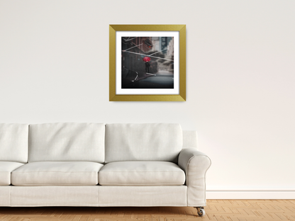 ( 40 x 40 Cm ) / 16 x 16 Inch with 30 x 30 Cm White Mount Poster Frames - MDF