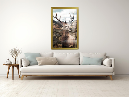 ( 42 x 60 CM ) / 24 x 16.5 Inch Display Frame - MDF