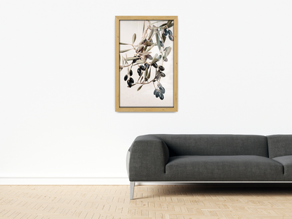 ( 42 x 60 CM ) / 24 x 16.5 Inch Display Frame - MDF
