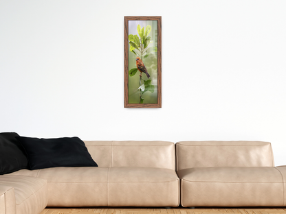 ( 50 x 100 CM ) / 40 x 20 Inch | Poster Frames - MDF
 -  [ Dark Oak ]