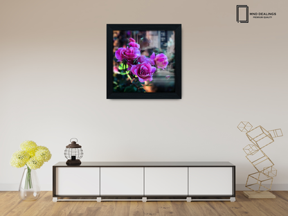 ( 50 x 50 CM ) / 20 x 20 Inch Display Frame - MDF