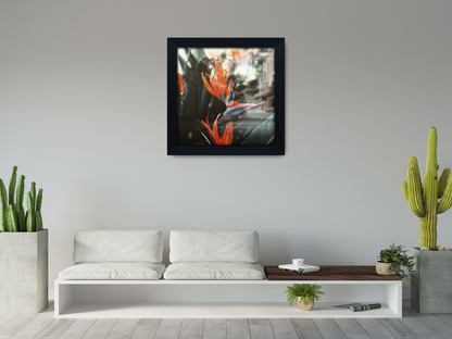 ( 50 x 50 CM ) / 20 x 20 Inch  |  Photo Frames - MDF
 -  [ Black ]