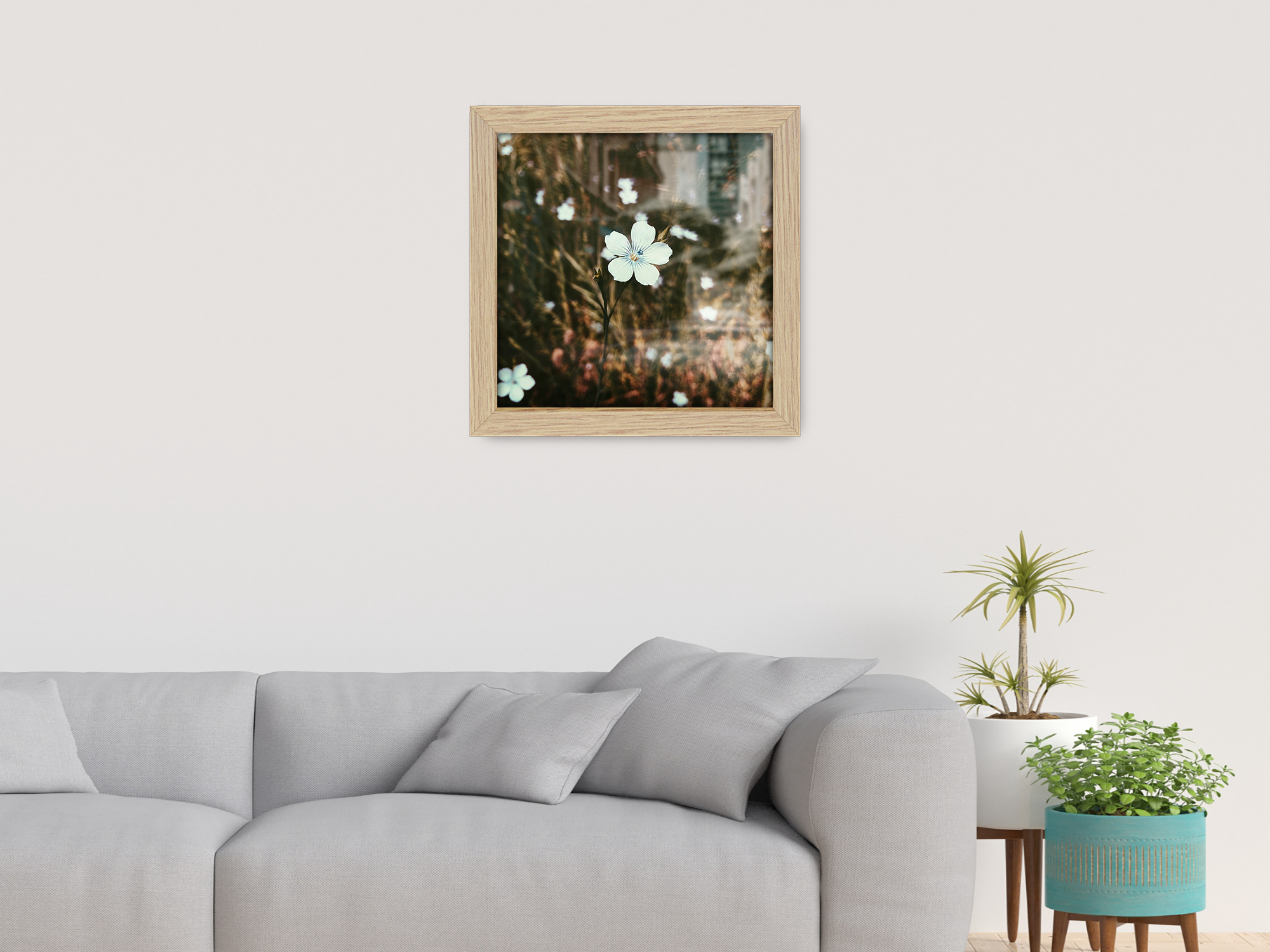 ( 50 x 50 CM ) / 20 x 20 Inch  |  Picture Frames - MDF
 -  [ Oak ]
