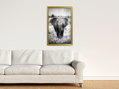 ( 50 x 70 CM ) / 28 x 20 Inch  |  Frames - MDF
 -  [ Gold ]