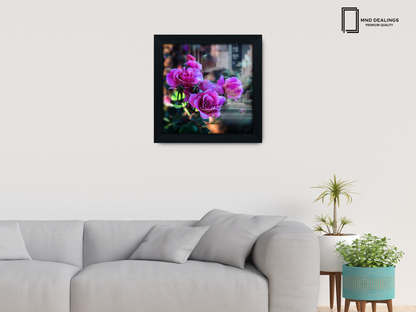 ( 55 x 55 CM ) / 22 x 22 Inch  |  Certificate Frames - MDF
 -  [ Black ]