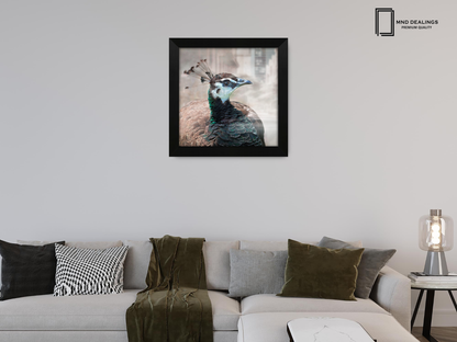 ( 55 x 55 CM ) / 22 x 22 Inch  |  Display Frame - MDF
 -  [ Matt Black ]