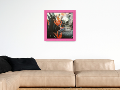( 55 x 55 CM ) / 22 x 22 Inch  |  Art Frames - MDF
 -  [ Pink ]