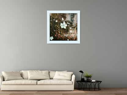 ( 55 x 55 CM ) / 22 x 22 Inch Certificate Frames - MDF