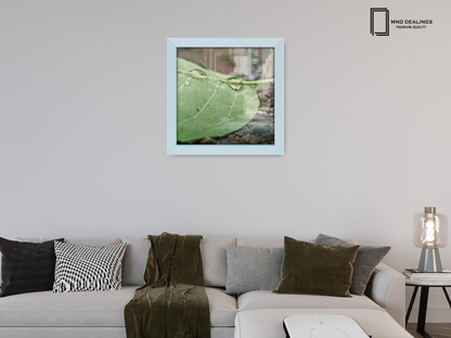 ( 60 x 60 CM ) / 24 x 24 Inch  |  Display Frame - MDF
 -  [ Light Grey ]