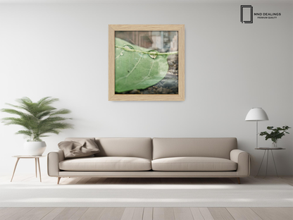 ( 60 x 60 CM ) / 24 x 24 Inch  |  Frames - MDF
 -  [ Oak ]