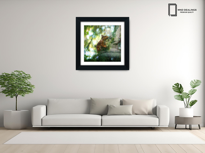 ( 60 x 60 Cm ) / 24 x 24 Inch with 50 x 50 Cm White Mount Display Frame - MDF