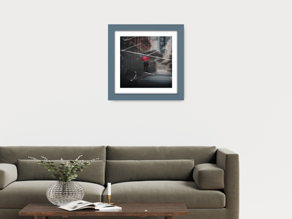 ( 65 x 65 Cm ) / 26 x 26 Inch with 55 x 55 Cm White Mount Display Frame - MDF