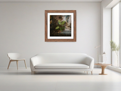 ( 65 x 65 Cm ) / 26 x 26 Inch with 55 x 55 Cm White Mount Display Frame - MDF
