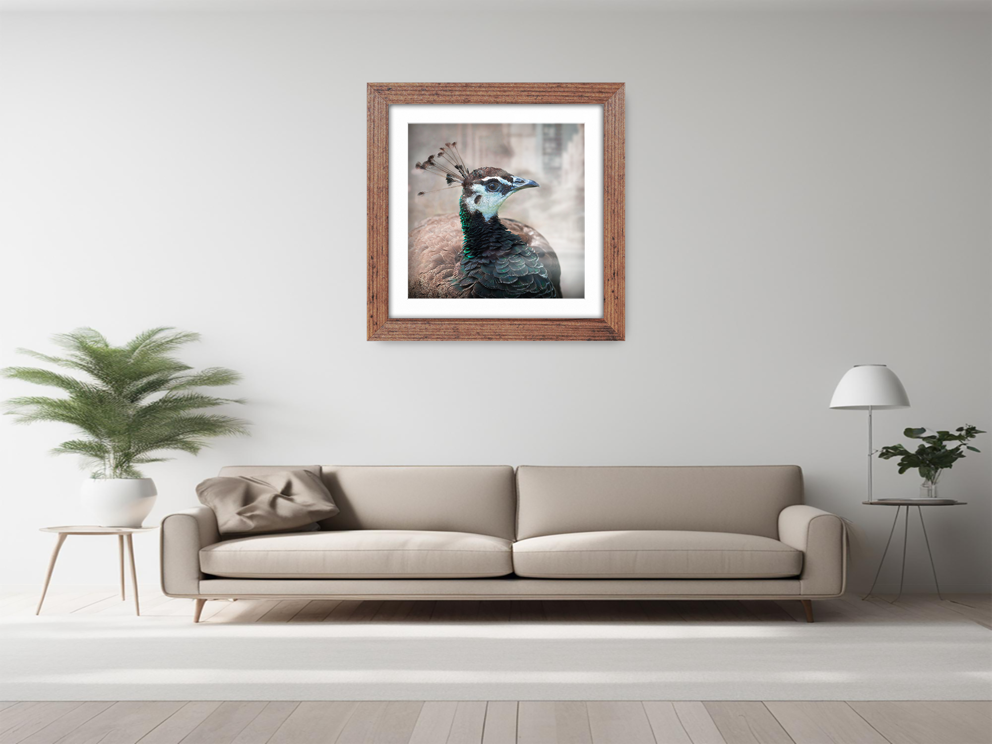 ( 65 x 65 Cm ) / 26 x 26 Inch with 55 x 55 Cm White Mount Display Frame - MDF