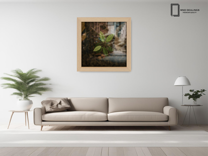 ( 70 x 70 CM ) / 28 x 28 Inch  |  Certificate Frames - MDF
 -  [ Beech ]