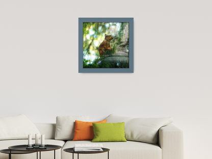 ( 70 x 70 CM ) / 28 x 28 Inch  |  Frames - MDF
 -  [ Dark Grey ]