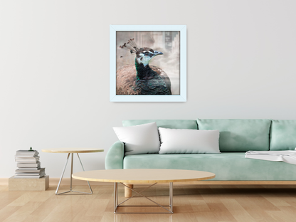 ( 70 x 70 CM ) / 28 x 28 Inch  |  Poster Frames - MDF
 -  [ White ]