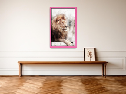 ( 71 x 51 CM ) / 28 x 20 Inch  |  Picture Frames - MDF
 -  [ Pink ]