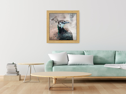 ( 80 x 80 CM ) / 32 x 32 Inch  |  Photo Frames - MDF
 -  [ Pine ]