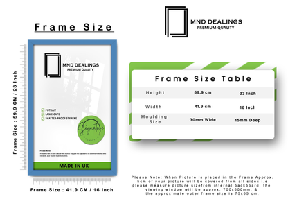 A2 ( 41.90 x 59.40 CM ) / 23 x 16 Inch Art Frames - MDF
