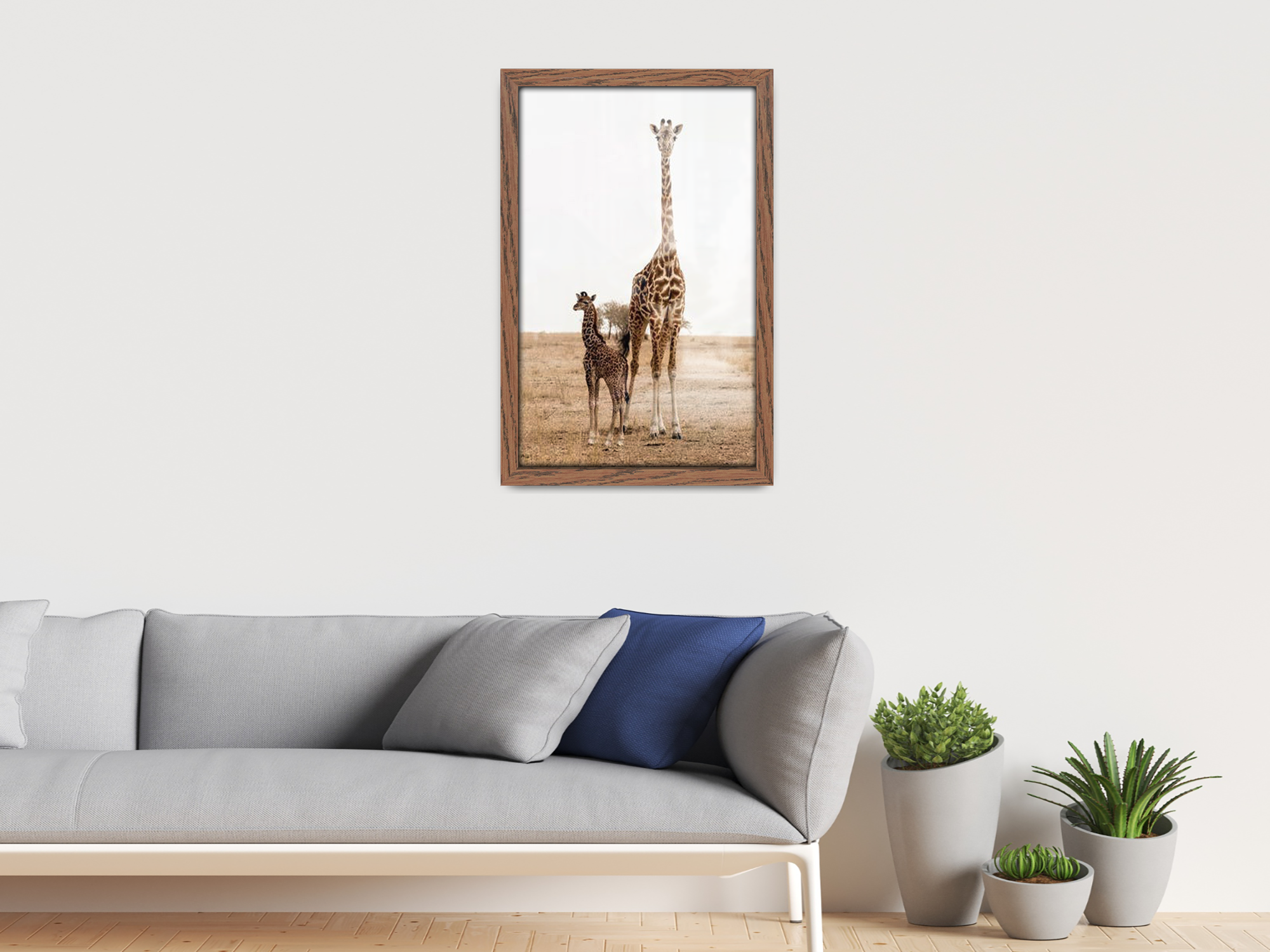 A2 ( 41.90 x 59.40 CM ) / 23 x 16 Inch  |  Certificate Frames - MDF
 -  [ Dark Oak ]
