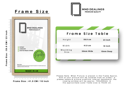 A2 ( 41.90 x 59.40 CM ) / 23 x 16 Inch Art Frames - MDF