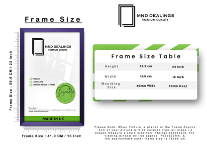 A2 ( 41.90 x 59.40 CM ) / 23 x 16 Inch Art Frames - MDF